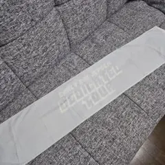 カーリー・レイ・ジェプセン　マフラータオル