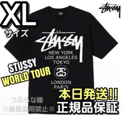 2026年最新】stussy ステューシー ローカルカラーワールドツアーロゴt