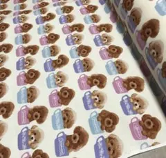 アリエル様専用　 入学入園準備　はぎれ　ティーカッププードル　クリーム色