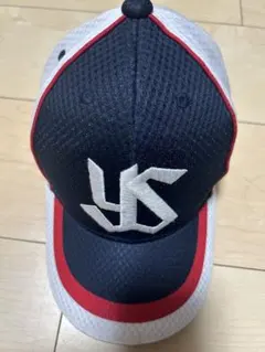 Item thumbnail for item 85c2d8c0-0840-49ae-b796-45e58dbe9075