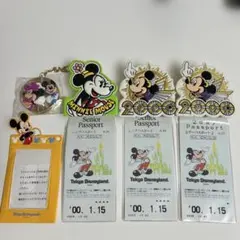 ディズニー　チケットホルダーとキーホルダー