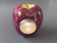 2026年最新】gilapple lightの人気アイテム - メルカリ
