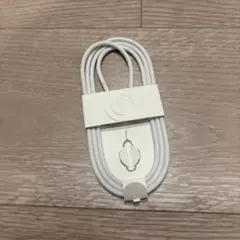 ホワイト USB-C 充電ケーブル