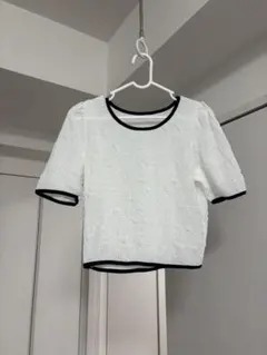 半袖クロップドトップス バイカラーシャツ