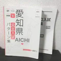 Item thumbnail for item 6c92a660-7f66-4098-bb54-14542e999753