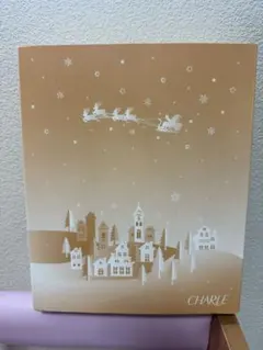 すーちゃん様 リクエスト 2点 まとめ商品