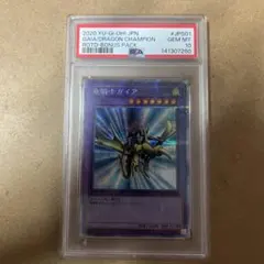 2026年最新】竜騎士ガイア psa10の人気アイテム - メルカリ