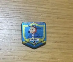 横浜フリューゲルス 1994 ピンバッジ Jリーグ
