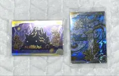 森羅万象チョコ 妖魔王アルザード アナザー PSA8 森羅万象チョコ 妖魔王アルザード 箔押し アナザーver - メルカリ
