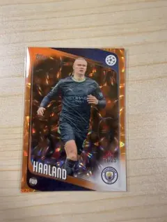 Topps Erling Haaland マンチェスターC 17/25 シリアル