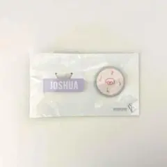 SEVENTEEN セブチ ツアーグッズ ディノ ネームワッペンバッジセット SEVENTEEN セブチ ツアーグッズ ディノ ネームワッペンバッジセット