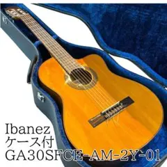 Ibanez アイバエレガット エレクトリッククラシックギター ケース付 現状品のサムネイル