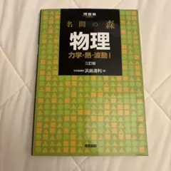 名問の森物理 力学・熱・波動1