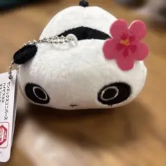 たれぱんだ サンエックスユニバース ハイビスカス マスコット ぬいぐるみ
