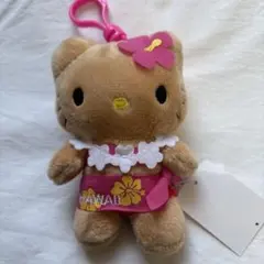 ***様 ⭐︎ハワイ限定⭐︎日焼けキティ　ハイビスカス　ぬいぐるみ　ABC St