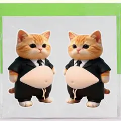 ねこ とら おなかぷにぷに 3Dシール 2匹セット 猫1904