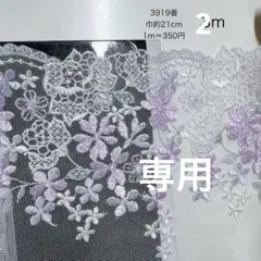 専用ページ・追加・チュールレース