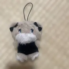 mikkoキャラクター　latteぬいぐるみ