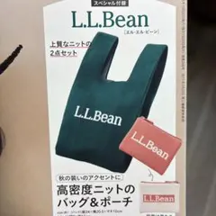 L.L.Bean 高密度ニットバッグ＆ポーチ 2点セット