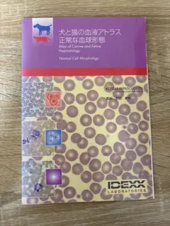 2026年最新】超音波・細胞・組織からみた 甲状腺疾患診断アトラスの