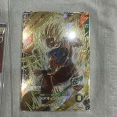 値下げ！！sdv6-025 孫悟空