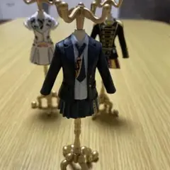 カプセルトルソーAKB48 会いたかった