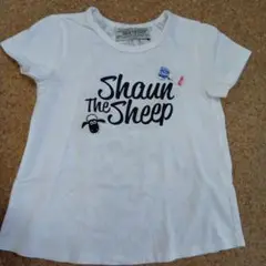 Shaun The Sheep ひつじのショーン Tシャツ チュニック 110
