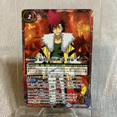 2025年最新】バトスピ 炎利家の人気アイテム - メルカリ