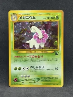 ポケモンカード マグマラシ イントロパック☆neo 旧裏 チコリータ