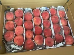 明日の午前中受け取り可能な方！家庭用　箱込み　5㎏　小玉のサムネイル