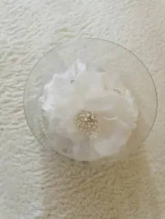 Item thumbnail for item 2f2f6485-bebd-4174-8190-e497799c8a7c