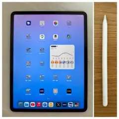【美品】 iPad Pro 12.9 第五世代➕Apple Pencil第二世代