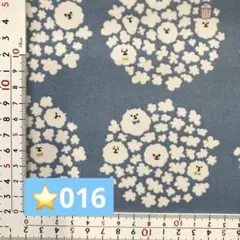 ⭐️016 ラミネート