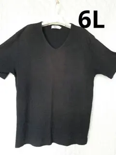 [835]Daniel Dodd Vネック リブTシャツ 6Lのサムネイル