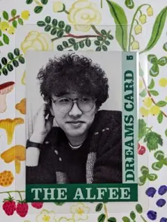 THE ALFEE アルフィー クリアファイル坂崎幸之助 - メルカリ