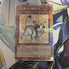 レスキューキャット　絵違い　25thシークレット QCシク　クオシク