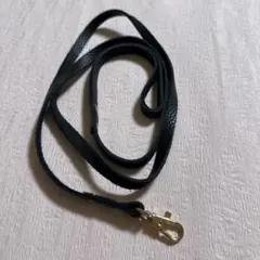 Item thumbnail for item b6001ed1-a6b2-4bfe-bba3-4b6170c70097