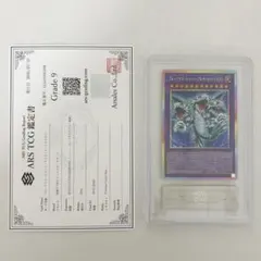 ARS10シューティング・クェーサー・ドラゴン プリシク オーバー