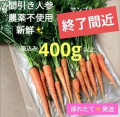 農薬不使用❣️間引き人参⑨人参の葉っぱ　人参葉　うさぎおやつ小動物おやつ