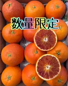 黒猫ジジ愛媛県産　ブラッドオレンジ　柑橘　30kg 愛媛県産みかん ブラッドオレンジ(タロッコ) 箱込3kg 柑橘 ミカン