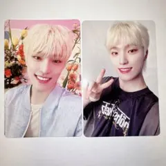 ディノ トレカ ALWAYS YOURS Carat フラッシュプライス セット