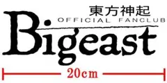 ここみ様専用　Bigeastカッティング