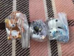 サンエックスユニバース チャームつきグミ　リラックマ　たれぱんだ　靴下にゃんこ