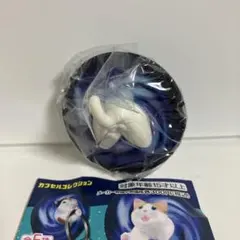 猫、宇宙に消える。