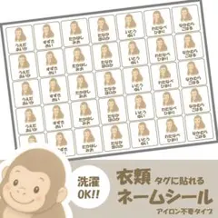 カット済【ノンアイロンネームシール】　ゴリラ　70枚入り