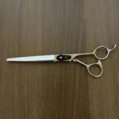 Item thumbnail for item 1bf64893-ccac-4ddf-81ca-b5dfae283c45