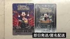リゾートライン　フリーきっぷ　ビッグバンドビート2種類セット
