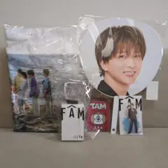 timelesz 寺西拓人　2025 ツアーセットうちわ FAM