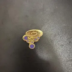 ポケモン ジムバッジ カロス地方 コジカ サイキックバッジ