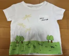 INSECT COLLECTION 半袖Tシャツ M ホワイト 昆虫柄とんぼ
